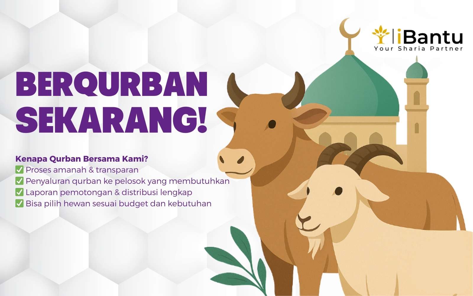 Qurban Sapi Palestina